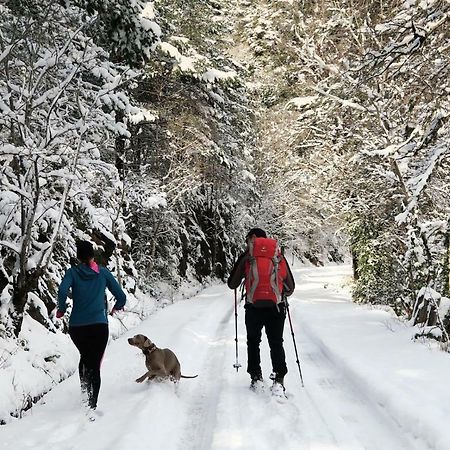 Edif. La Corona El Pueyo de Jaca Εξωτερικό φωτογραφία